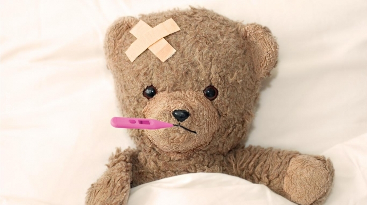 teddy-bear-ill-1366x768-728x728.jpg