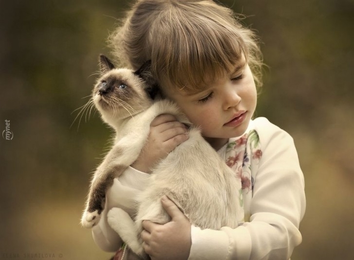 children-cat-playing-photography-2-880-728x728jpg-728x728.jpg