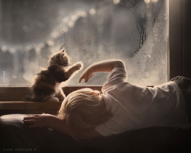children-cat-playing-photography-4-880-728x728jpg-728x728.jpg