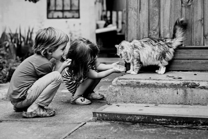 children-cat-playing-photography-5-880-728x728jpg-728x728.jpg