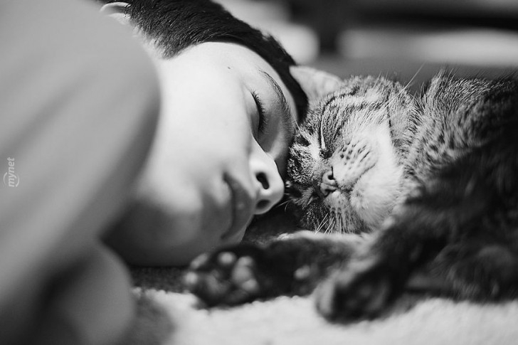children-cat-playing-photography-7-880-728x728jpg-728x728.jpg
