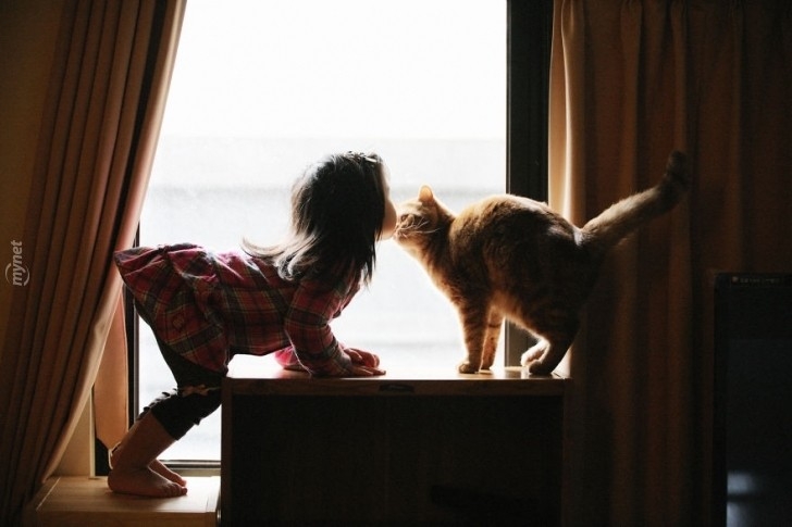 children-cat-playing-photography-8-880-728x728jpg-728x728.jpg