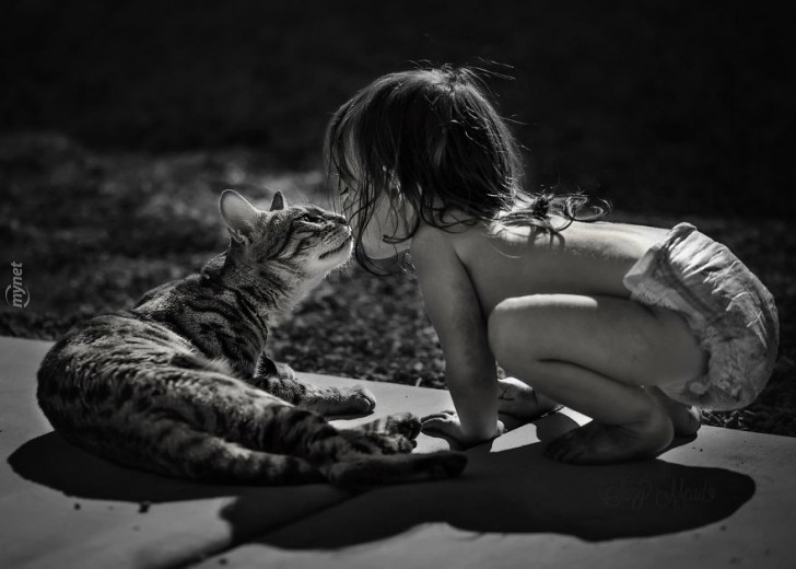 children-cat-playing-photography-11-880-728x728jpg-728x728.jpg