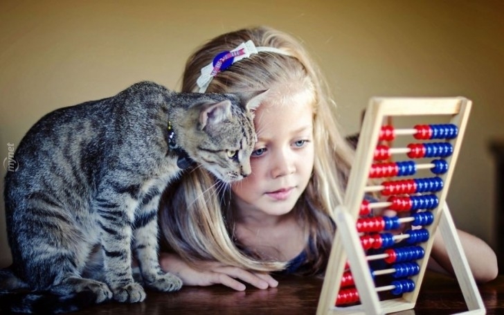 children-cat-playing-photography-19-880-728x728jpg-728x728.jpg