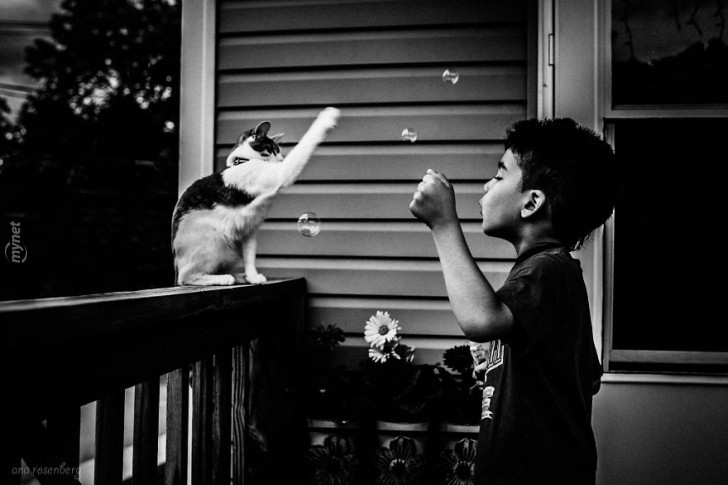 children-cat-playing-photography-20-880-728x728jpg-728x728.jpg
