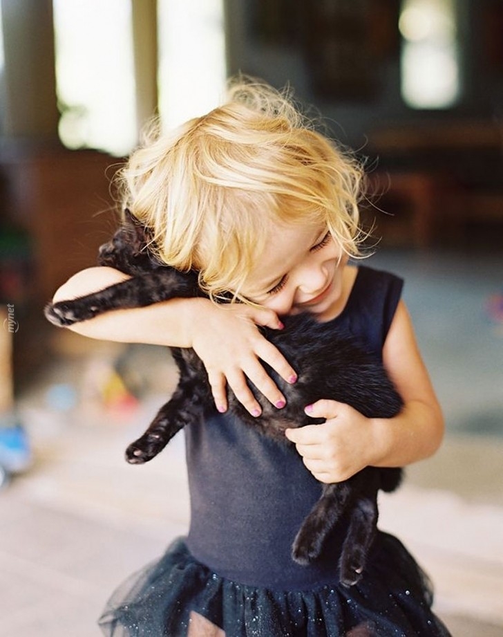 children-cat-playing-photography-32-880-728x728jpg-728x728.jpg