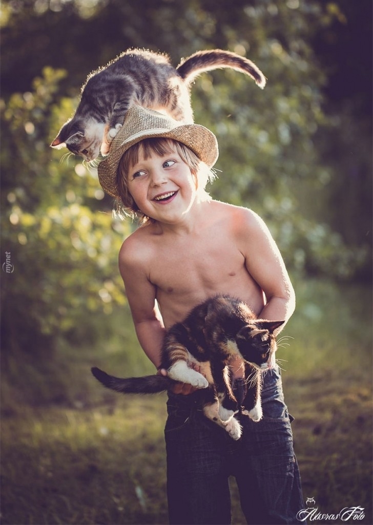children-cat-playing-photography-40-880-728x728jpg-728x728.jpg