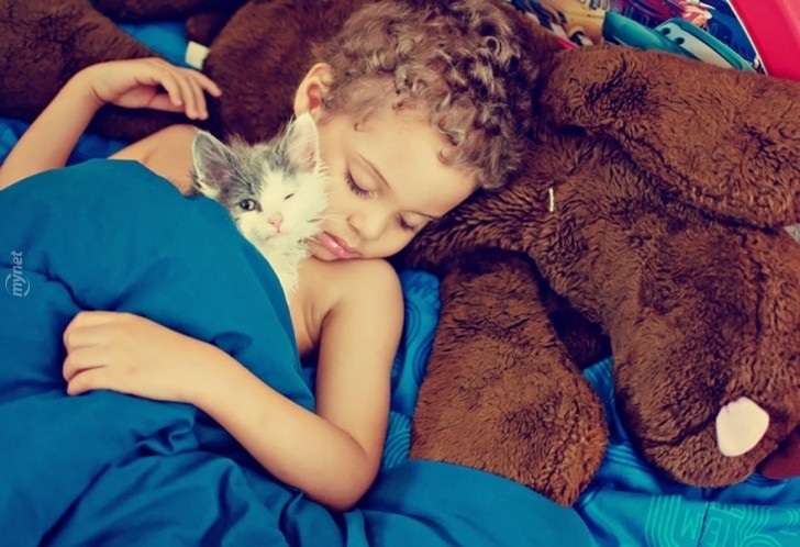 children-cat-playing-photography-3021-880-728x728jpg-728x728.jpg