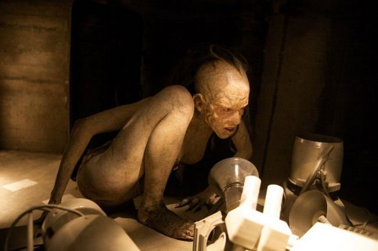 Cinler Hakkında Merak Edilen 14 Sorunun Akıl Almaz Yanıtları!