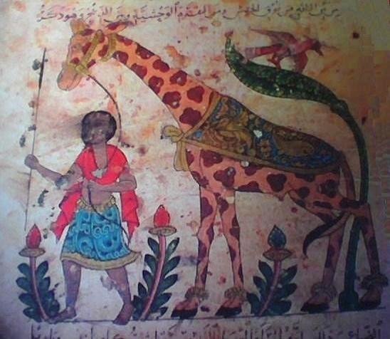 -iraffe-ahiz-869-728x728.jpg