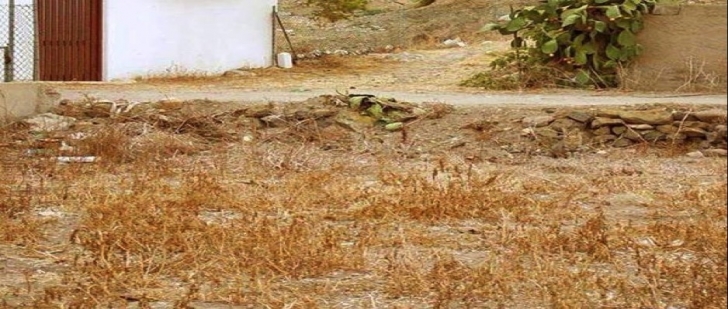 kedipng-728x728.jpg