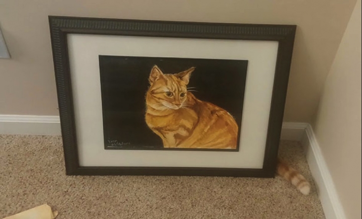 kedi3png-728x728.jpg