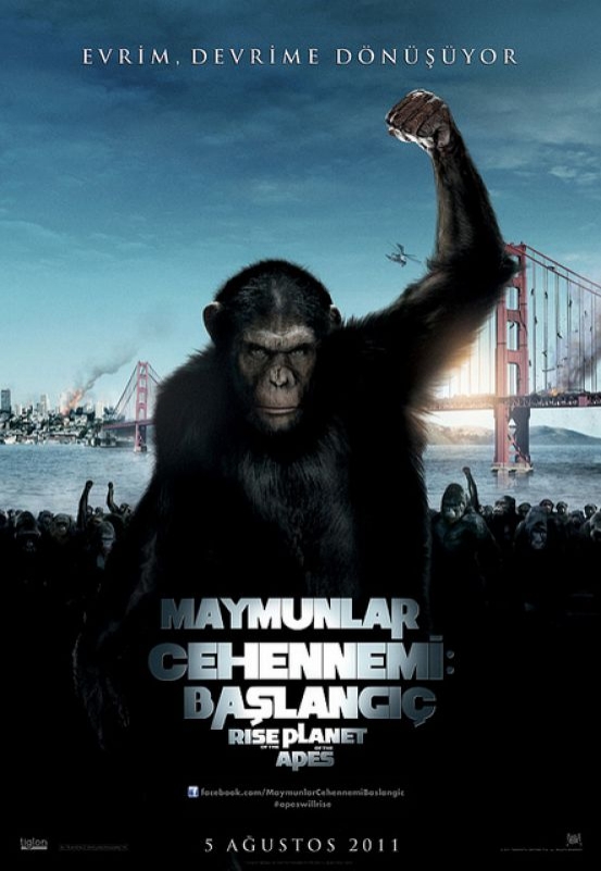 film seyret film seyret