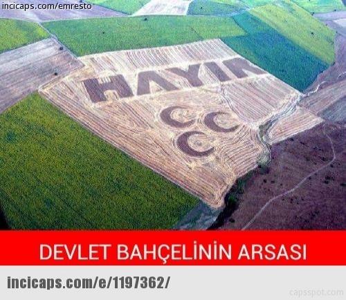 devlet-bahceli-caps19jpg-728x728.jpg