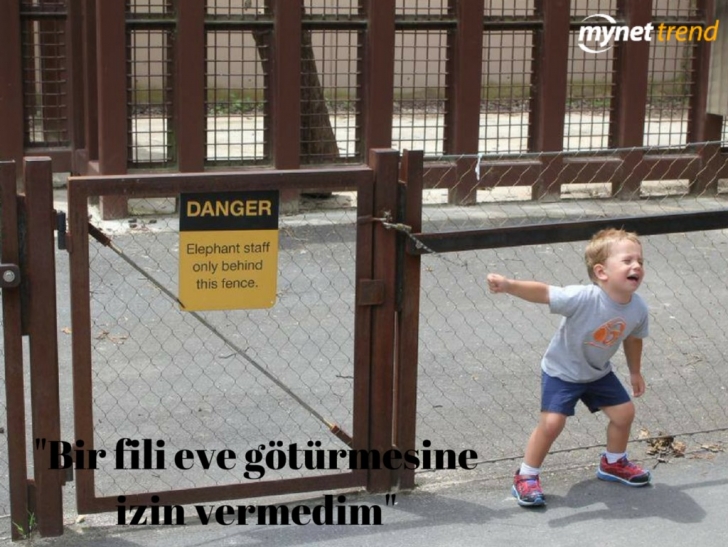 bir-fili-eve-goturmesine-izin-vermedim-png-728x728.jpg