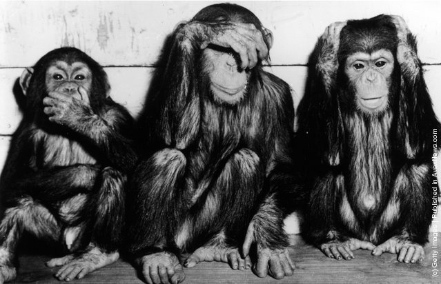 funny-vintage-animal-photos-10jpeg-728x728.jpg