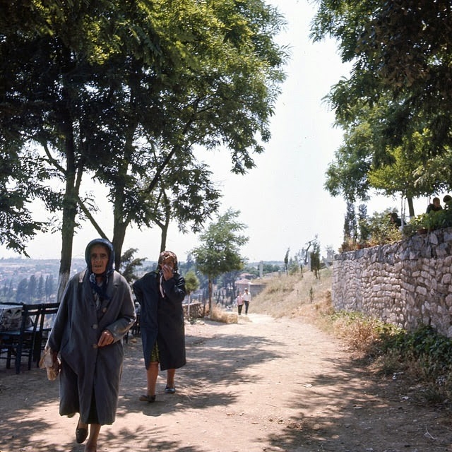 turkeyin19711jpg-728x728.jpg