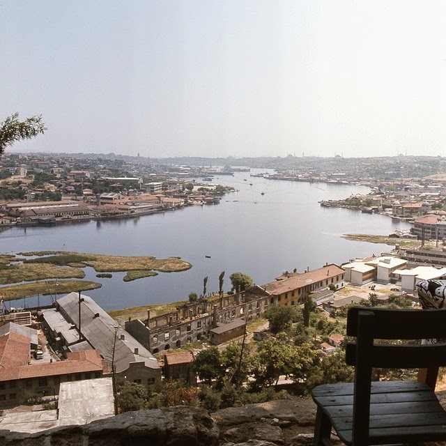 turkeyin19712jpg-728x728.jpg