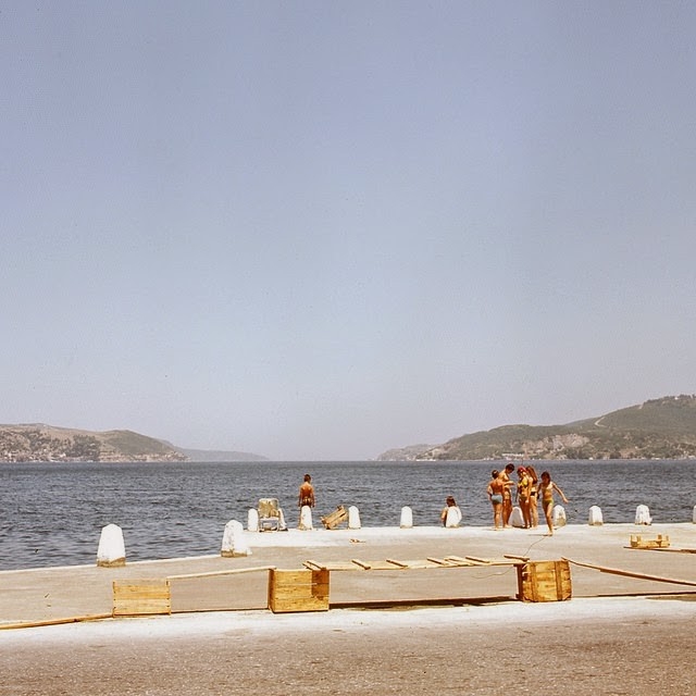 turkeyin19714jpg-728x728.jpg