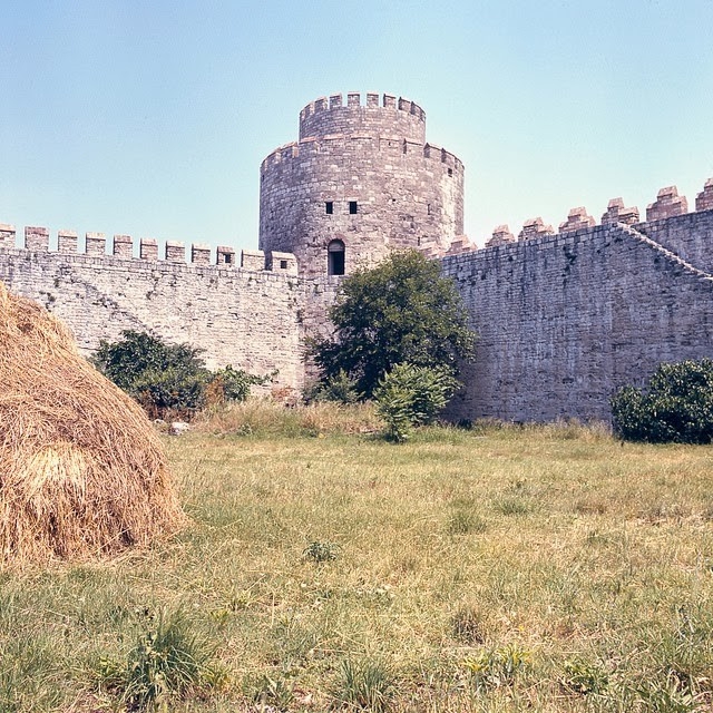 turkeyin19716jpg-728x728.jpg