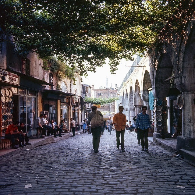 turkeyin19718jpg-728x728.jpg