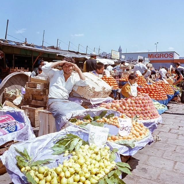 turkeyin197116jpg-728x728.jpg