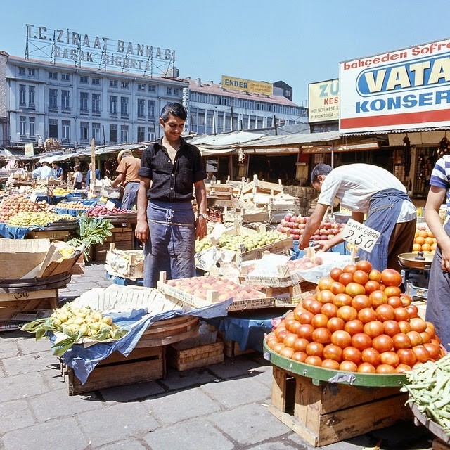 turkeyin197121jpg-728x728.jpg