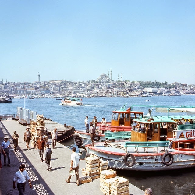 turkeyin197127jpg-728x728.jpg