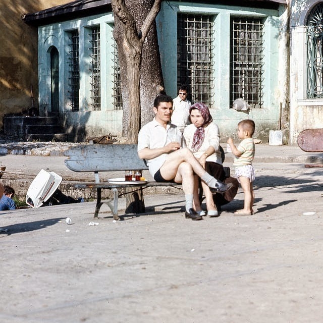 turkeyin197128jpg-728x728.jpg