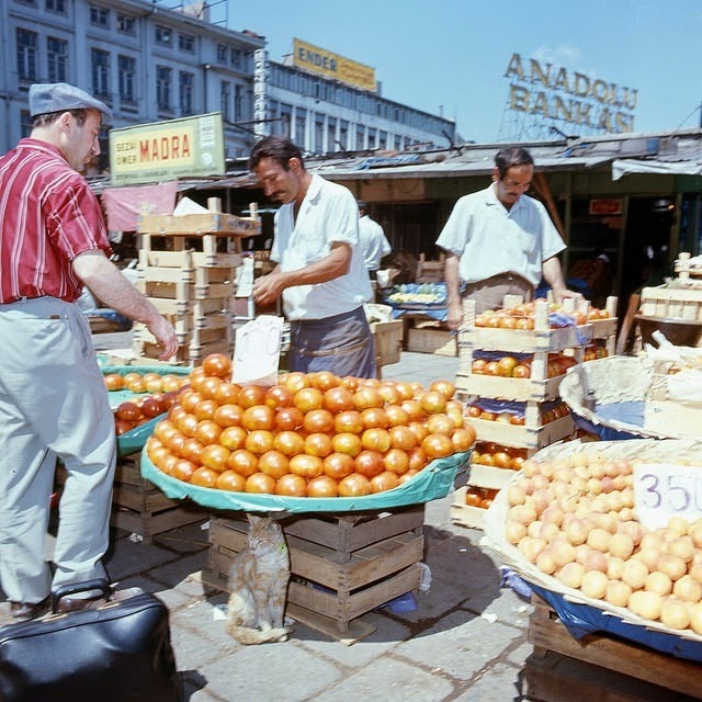 turkeyin197130jpg-728x728.jpg