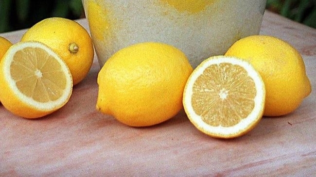 Sabahları İçtiğiniz Limonlu Su Bakın Vücudunuza Neler Yapıyor