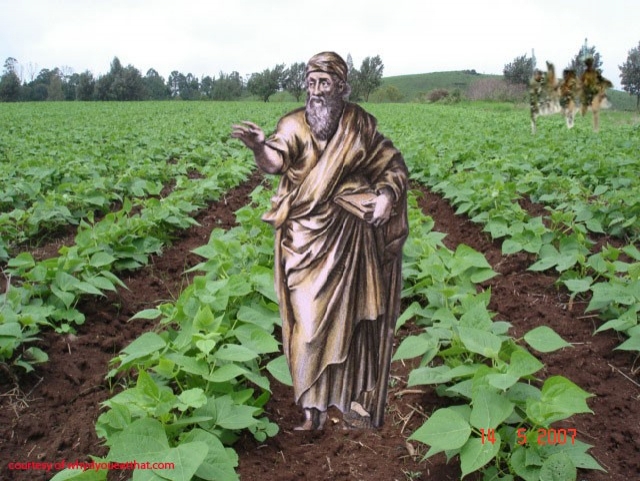 pythagoras-and-beansjpg-728x728.jpg