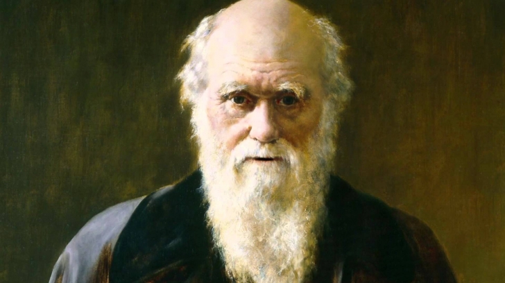 maxresdefaultjpg-728x728.jpg