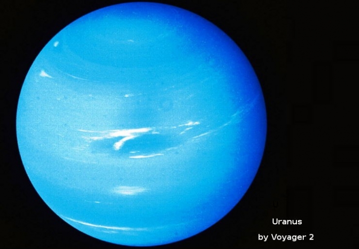 1394480703123jpg-728x728.jpg