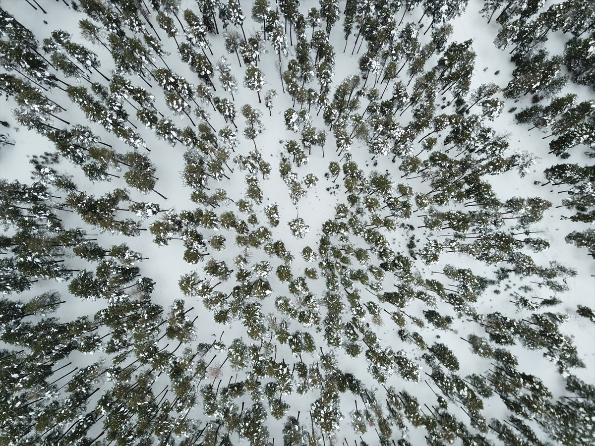 1428359013437.jpg