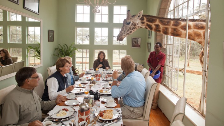giraffe-manor-breakfast-with-giraffes.jpg